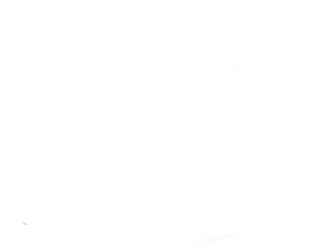 Price-img1